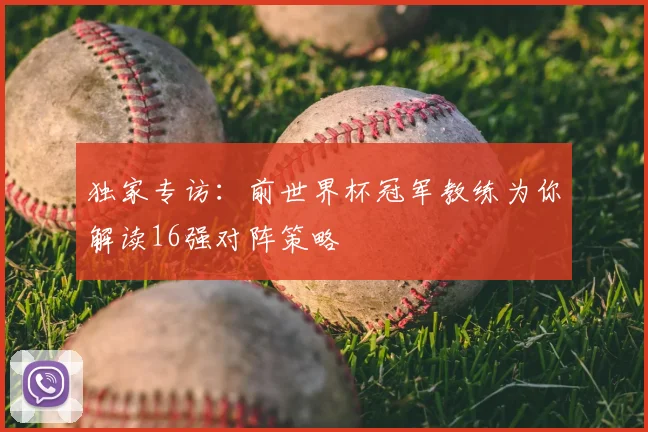 独家专访：前世界杯冠军教练为你解读16强对阵策略