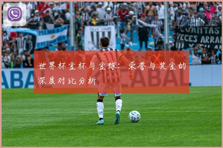 世界杯金杯与金球：荣誉与奖金的深度对比分析
