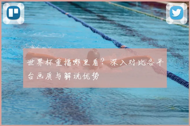 世界杯重播哪里看？深入对比各平台画质与解说优势