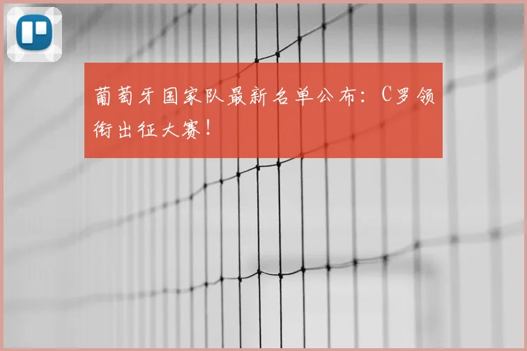 葡萄牙国家队最新名单公布：C罗领衔出征大赛！