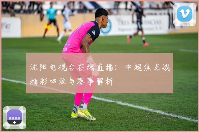 沈阳电视台在线直播：中超焦点战精彩回放与赛事解析
