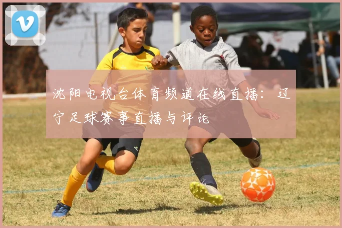 沈阳电视台体育频道在线直播：辽宁足球赛事直播与评论