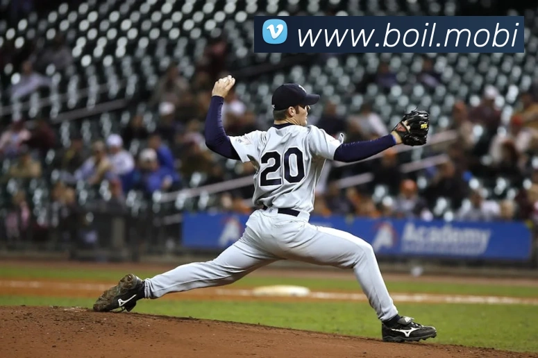 开云手机入口官方网站服务体系